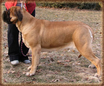 Tallulah
